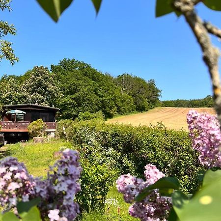 Ferienhaus Zittertal Neustadt Harz Haus I Villa Harztor Eksteriør bilde
