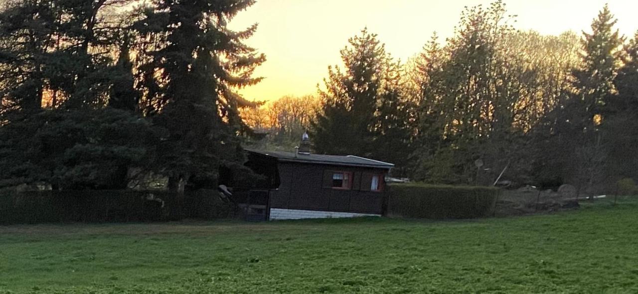 Ferienhaus Zittertal Neustadt Harz Haus I Villa Harztor Eksteriør bilde