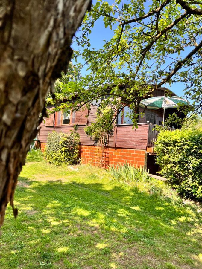 Ferienhaus Zittertal Neustadt Harz Haus I Villa Harztor Eksteriør bilde